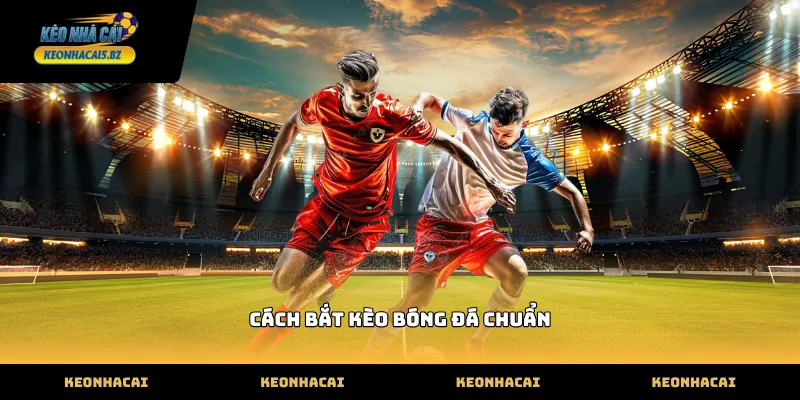 Cách bắt kèo bóng đá chuẩn dựa trên số liệu thực tế