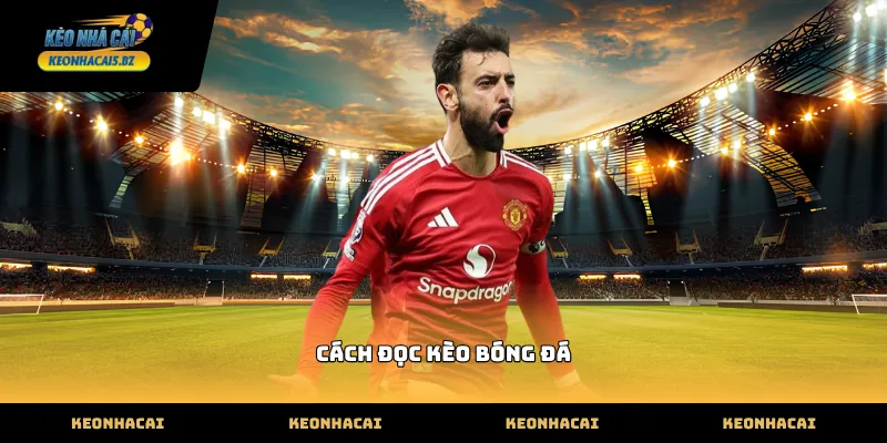 Hướng dẫn cách đọc kèo bóng đá châu Á cơ bản