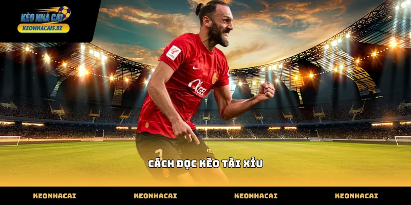 Hướng dẫn cách đọc kèo tài xỉu cơ bản cho người mới