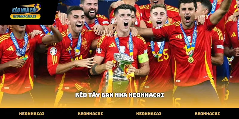 Theo dõi biến động kèo tây ban nha keonhacai tại trang thể thao