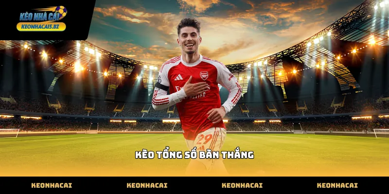 Đặc điểm nổi bật của kèo tổng số bàn thắng trong trận đấu