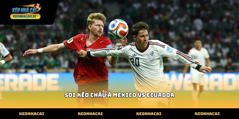 Đánh giá phong độ thực tế khi soi kèo châu á mexico vs ecuador