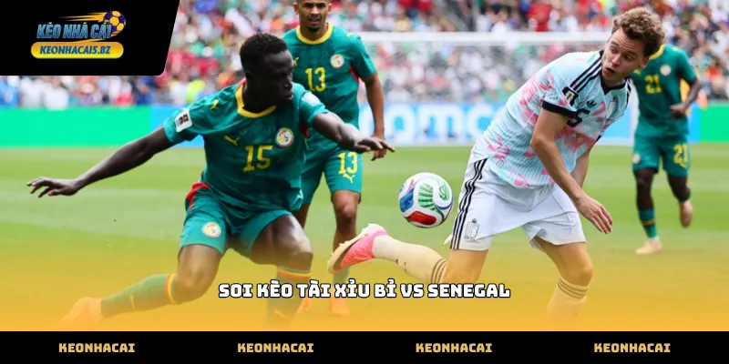 Thông số bàn thắng khi soi kèo tài xỉu Bỉ vs Senegal thực tế