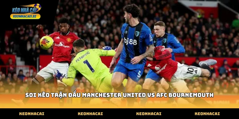 Dữ liệu soi kèo trận đấu manchester united vs afc bournemouth mới nhất